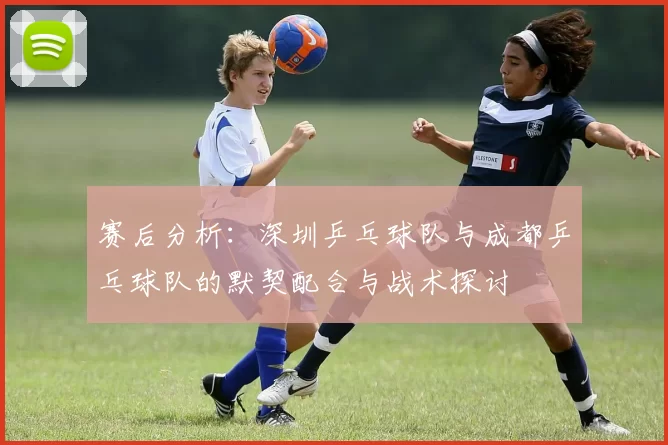 赛后分析：深圳乒乓球队与成都乒乓球队的默契配合与战术探讨