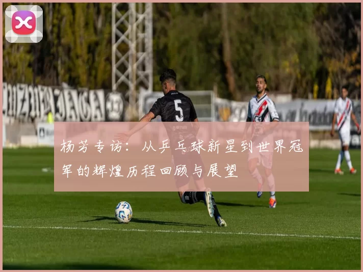 杨芳专访：从乒乓球新星到世界冠军的辉煌历程回顾与展望