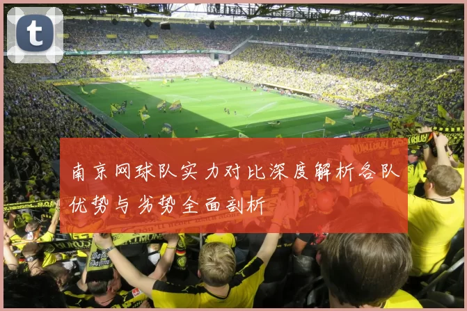 南京网球队实力对比深度解析各队优势与劣势全面剖析