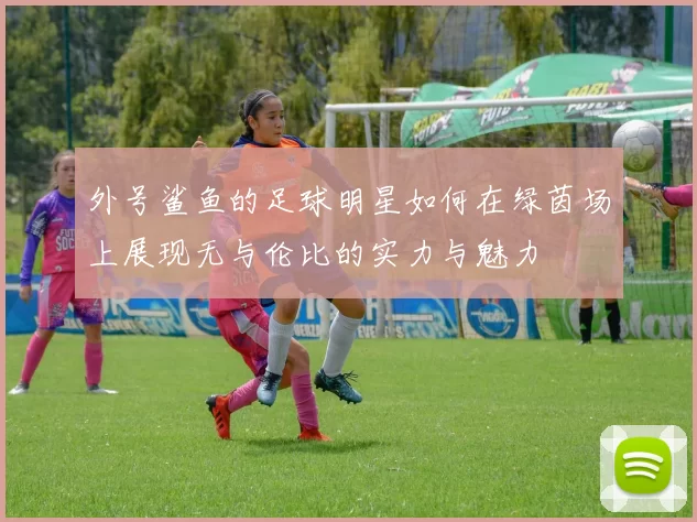 外号鲨鱼的足球明星如何在绿茵场上展现无与伦比的实力与魅力