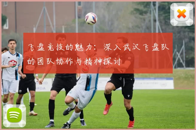 飞盘竞技的魅力：深入武汉飞盘队的团队协作与精神探讨