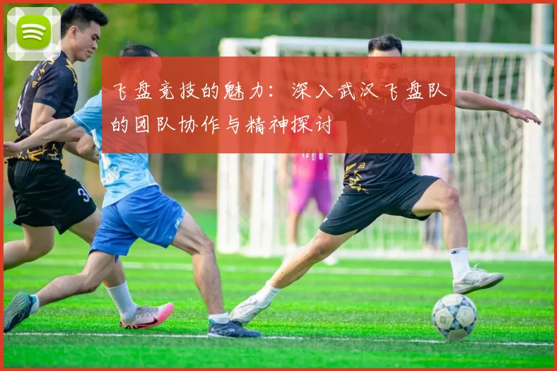 飞盘竞技的魅力：深入武汉飞盘队的团队协作与精神探讨