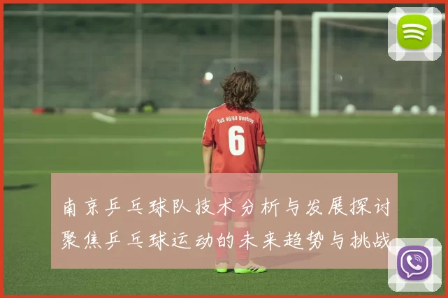 南京乒乓球队技术分析与发展探讨聚焦乒乓球运动的未来趋势与挑战