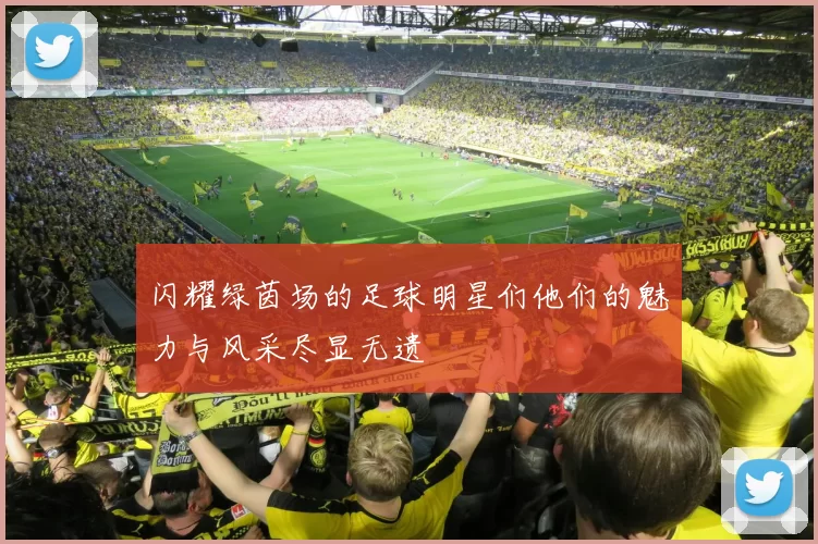 闪耀绿茵场的足球明星们他们的魅力与风采尽显无遗