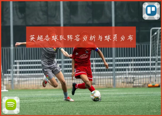 英超各球队阵容分析与球员分布