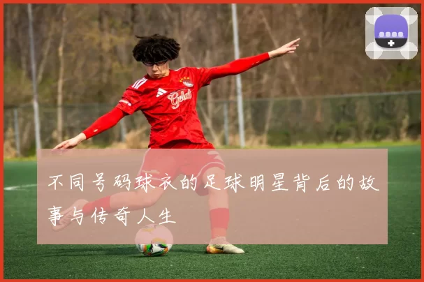 不同号码球衣的足球明星背后的故事与传奇人生