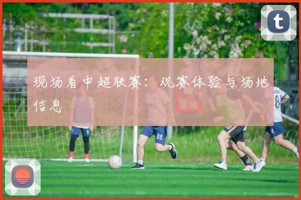 现场看中超联赛：观赛体验与场地信息
