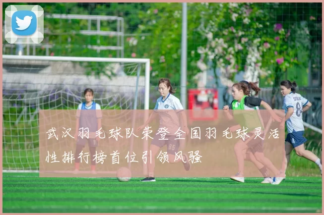武汉羽毛球队荣登全国羽毛球灵活性排行榜首位引领风骚