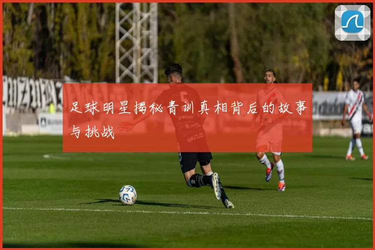 足球明星揭秘青训真相背后的故事与挑战