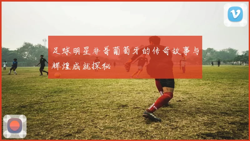 足球明星非哥葡萄牙的传奇故事与辉煌成就探秘