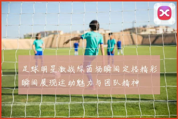 足球明星激战绿茵场瞬间定格精彩瞬间展现运动魅力与团队精神