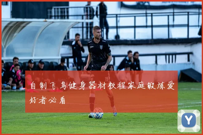 自制飞鸟健身器材教程家庭锻炼爱好者必看