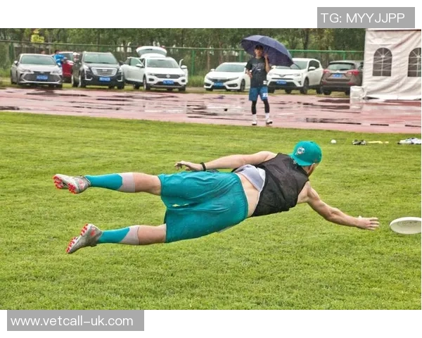 飞盘专题：深入解析广州飞盘队的技术特点与战术运用