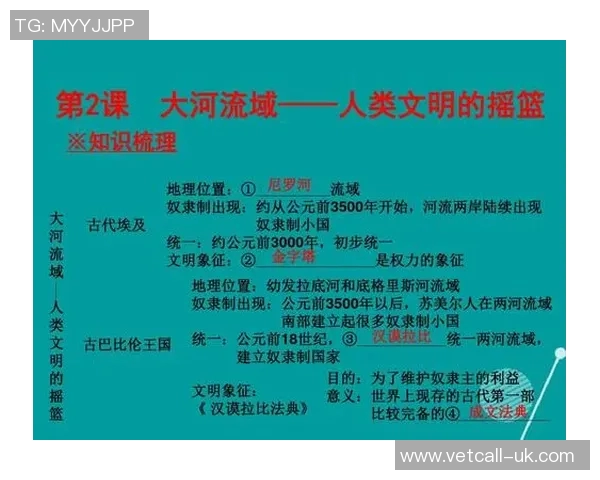 从古代文明到现代社会：历史长河中的变革与传承