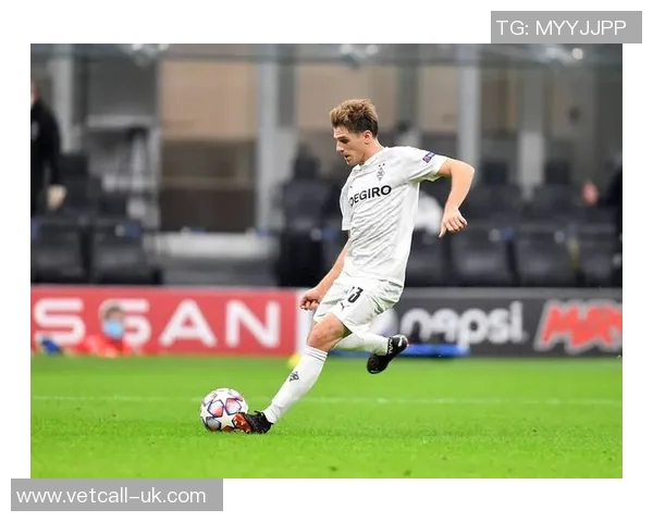 门兴格拉德巴赫欧冠战绩回顾